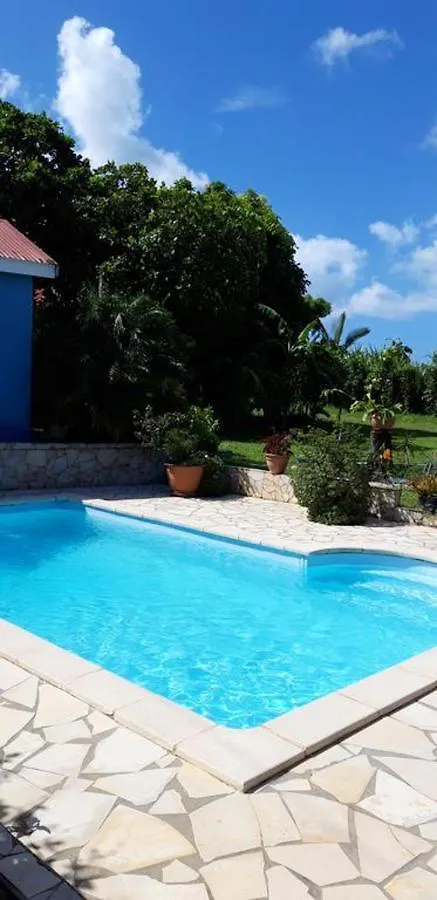 Studio Accueillant A Baie Mahault 20 M² Avec Piscine Privee Guadeloupe